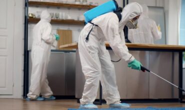 The Importance of Building and Pest Inspections Before Buying Property